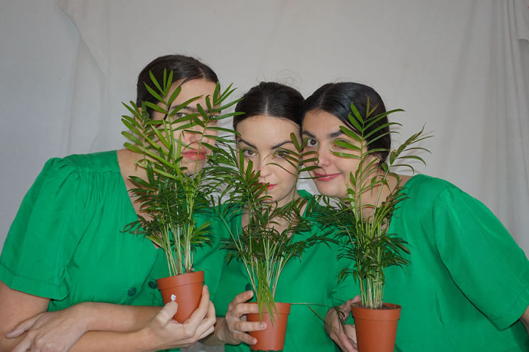 Ninguna Planta es de Interior